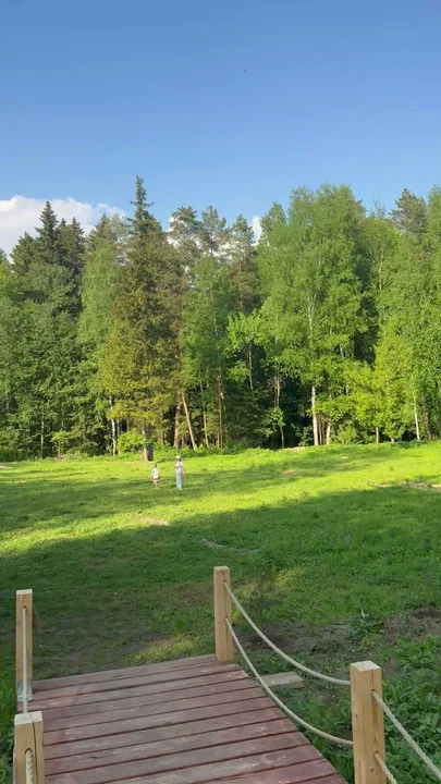 Лесная поляна для отдыха с детьми